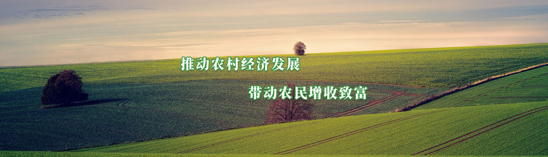 俄罗斯专享会294·VIP(中国区)官方网站
