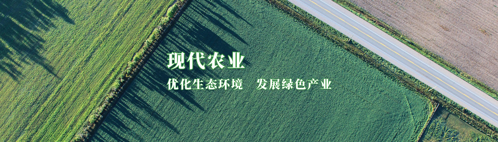 俄罗斯专享会294·VIP(中国区)官方网站