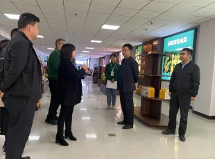 俄罗斯专享会294集团在水发农投通路物流公司、河州力量公司调研